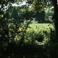 Bürgerinitative Tetelberg